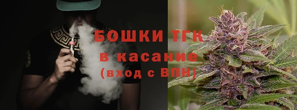 сатива Козловка