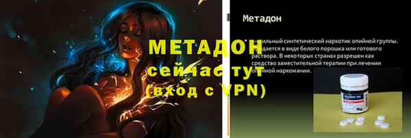 прущие грибы Кодинск