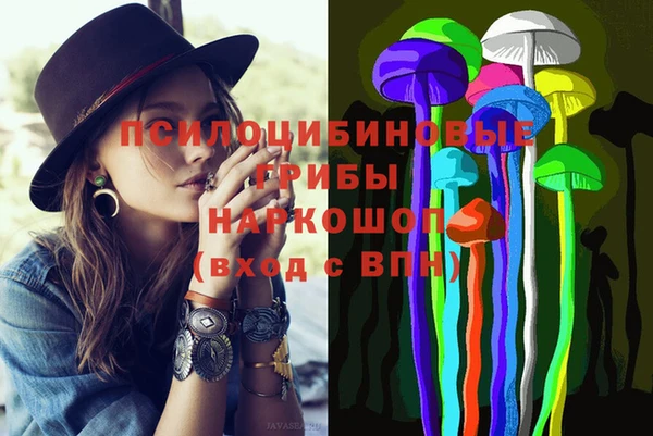 герыч Кинешма