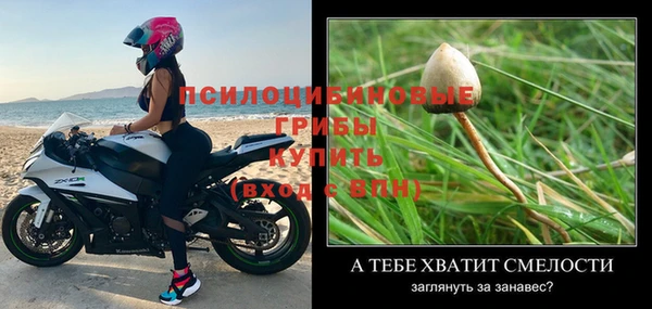 MDMA Premium VHQ Киреевск