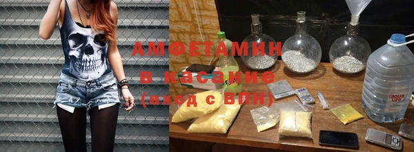 сатива Козловка