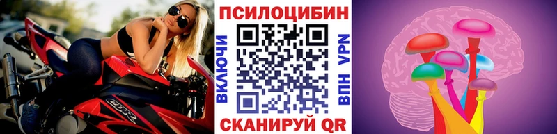 Купить закладки  Сунжа  Псилоцибиновые грибы прущие грибы 